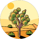 Asanka Sanjeewa profile picture